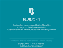 Tablet Screenshot of bluejohnmarketing.com